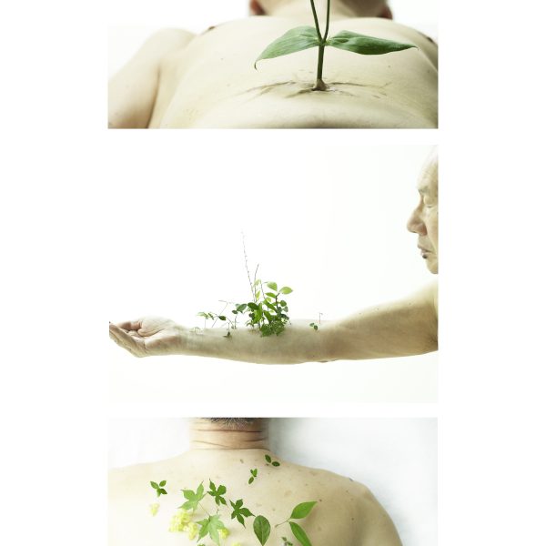 体から草木が生えている特殊メイク作品