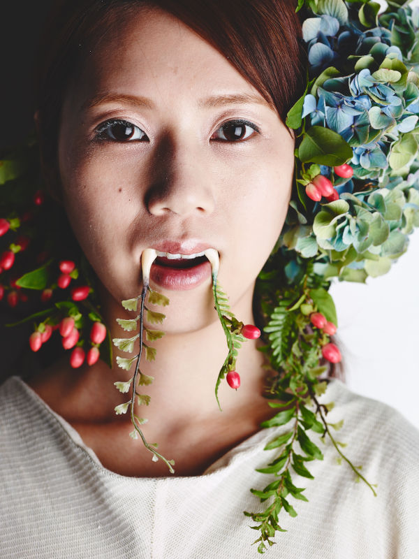 植物風の義歯